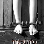 Fourth pic of SexPreviews - Abigail Dupree is bound and blindfolded outdoors for spanking by master James