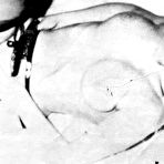 Second pic of Vintage Cuties - vintage historic hardcore antique sex retro erotica