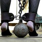 Second pic of SexPreviews - Jessica Kay blonde in black stockings is bound outdoors for ass spanking