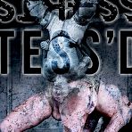 First pic of SexPreviews - Tess Dagger is bound in rope and toyed to orgasm in dark dungeon