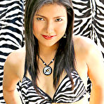 First pic of Zebra Striped Outfit On Sexy Asian Babe Showing Her Stuff