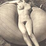 First pic of Wild Naturism by HomeMadeJunk.com