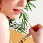 Third pic of Emma Evins in Emma Evins in young and hairy
