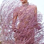 First pic of Erotic, sensual poses in the midst of a barren, exotic landscape. | Nude Art