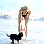 Third pic of Stephanie Pratt sexy in bikini on a beach in Malibu