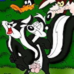 First pic of Horny Bugs Bunny wanna screw Daffy Duck xxx cartoon porn