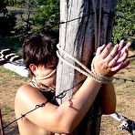 Third pic of  - Pain Freaks | Featuring glam pain sluts who can't get enough in exquisite bondage! Bound, gagged and beautiful!