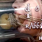 Fourth pic of SexPreviews - Kitty Dorian black stockings brunette is bound in lots of rope in bdsm dungeon