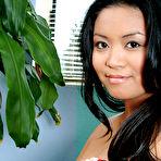 Fourth pic of Meiko in Meiko in asians