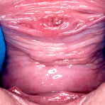 Third pic of Gorgeous Lovita Fate in a two-tone corset and shiny tan holdups uses a spreader