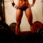 First pic of PinkFineArt | Larissa Reis Buff Blonde from Female Muscle Network