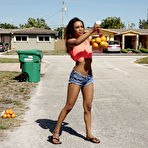 First pic of Demi Sutra - Brown Bunnies