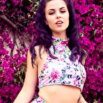 First pic of Aemelia Fox Sexy Floral Bikini