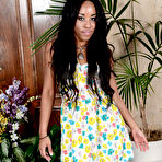First pic of Ashley Pink in Ashley Pink in black women