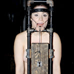 First pic of SexPreviews - Charlotte Vale in black stockings is bound and made to cum on command