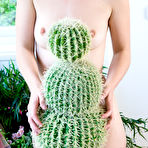 Fourth pic of June, 2015 | The Hairy Lady Blog