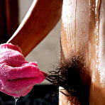 Third pic of The Life Erotic | The Hairy Lady Blog