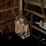 First pic of SexPreviews - Sasha Sparks is put in a cage and bdsm stretched in dungeon