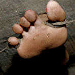 Third pic of SexPreviews - Sasha Sparks is put in a cage and bdsm stretched in dungeon