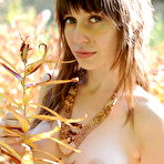Third pic of Erotic Beauty - Naturally Beautiful Amateur Nudes