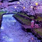 Second pic of Misc. stuff: Scenic views - Sexy and Funny Forums
