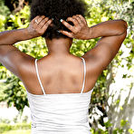 Fourth pic of Bella Dahl in Bella Dahl in black women