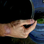 Fourth pic of SexPreviews - Marina Mae is put in cage for kinky bdsm sex also with frogs