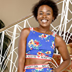 Fourth pic of Bella Dahl in Bella Dahl in black women