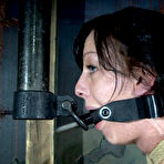 First pic of SexPreviews - Elise Graves in pantyhose and high heels is rope bound and dungeon toyed by maledom