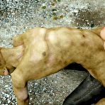 Second pic of Captured And Assfucked