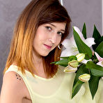 First pic of Pale teen does an artistic show with every inch of her perfect body as she is stretching out in her bed. pics