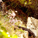 First pic of Shay Laren Gallery > Sexy Beauties