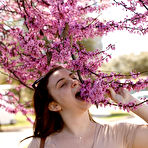 First pic of Milly Marks Wild and Curvy Zishy - Prime Curves