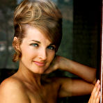 Second pic of Allison Parks: Gorgeous, hot and simply glamorous @ Playboy - XNSFW.COM