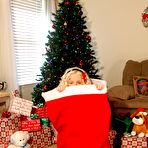 First pic of Pattycake Holiday Cheer - Bunny Lust