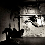 First pic of January, 2017 | The Soft List