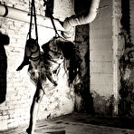 Fourth pic of January, 2017 | The Soft List