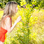 First pic of Girls Models - Younger Babes Movie Downloads, Nude Photo Art