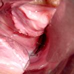 Second pic of Sexy Asian Pornstars Pics thai chicks and big cocks interracial asian fucking