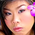 Fourth pic of All Asian Fuck @ Sexy Asian Bitch