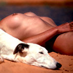 Fourth pic of Playboy, hot naked playboy babes, sexy playboy.com playmates, famous celebrities, centerfolds and nude playboy models!