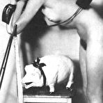 Fourth pic of VINTAGE CUTIES