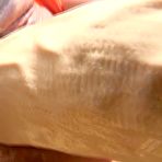 Fourth pic of Big Asses Vol. 1 | PORNXN | SugarInstant