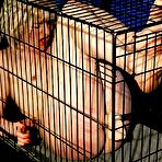 Third pic of Bondage Videos, Hard Bondage, Fetish Sex Videos, Torture, Hard Sex, Extreme 
Bondage Videos
