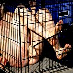 Fourth pic of Bondage Videos, Hard Bondage, Fetish Sex Videos, Torture, Hard Sex, Extreme 
Bondage Videos