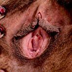 Third pic of Delta's skirt barely covers her bush!