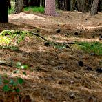 Fourth pic of FAIRY TALE