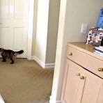 First pic of Young brunette can't get enough this big cock