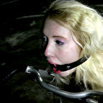 Third pic of SexPreviews - Nicki Blue sexy blonde is bound in rope made to suck hard cock