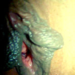 Second pic of Big Juicy Labia 5 at HomeMoviesTube.com